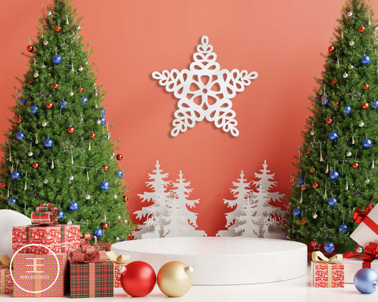 Christmas Star 1